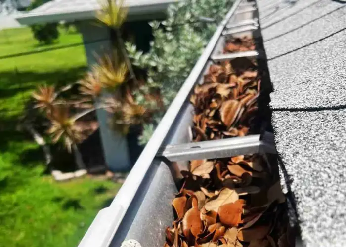 Gutter Cleaning Advance home page