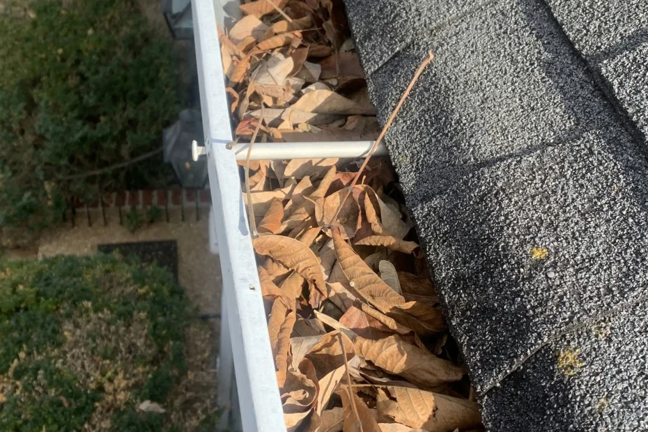 Gutter Cleaning Advance