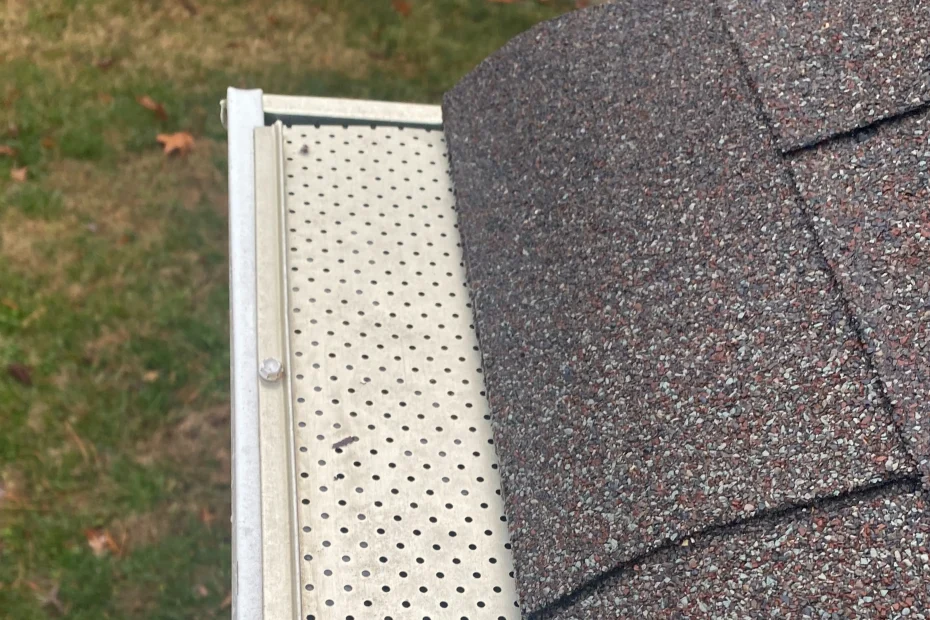 Gutter Cleaning Advance